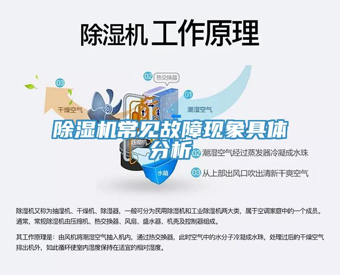 蘑菇视频网站常見故障現象具體分析