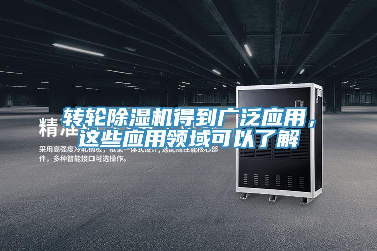 轉輪蘑菇视频网站得到廣泛應用，這些應用領域可以了解