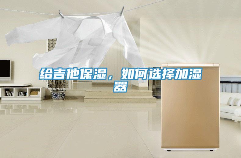 給吉他保濕，如何選擇加濕器