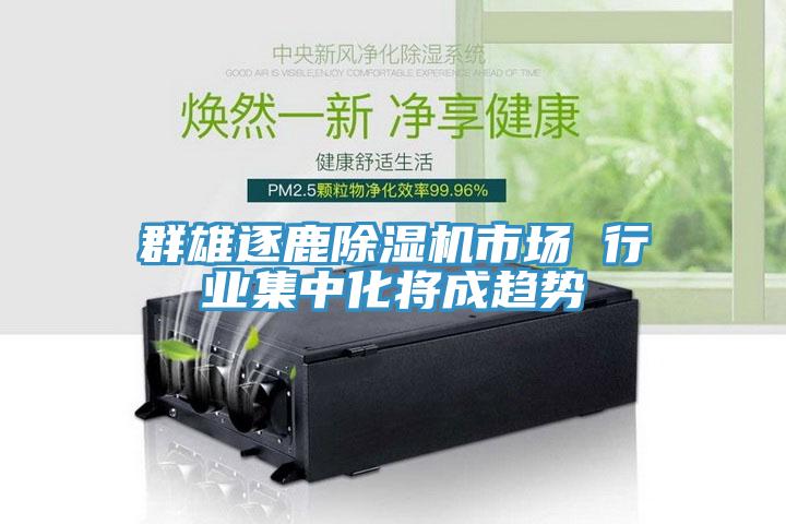 群雄逐鹿蘑菇视频网站市場 行業集中化將成趨勢