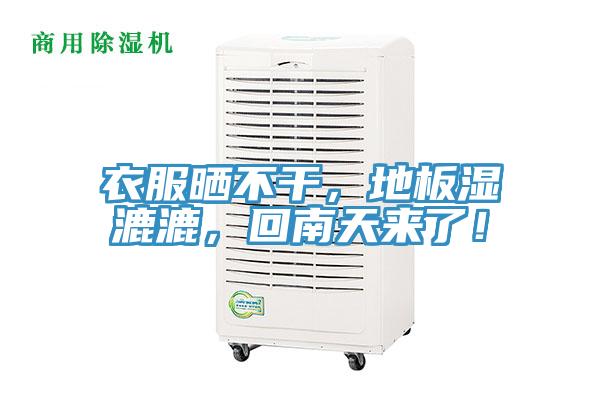 衣服曬不幹，地板濕漉漉，回南天來了！