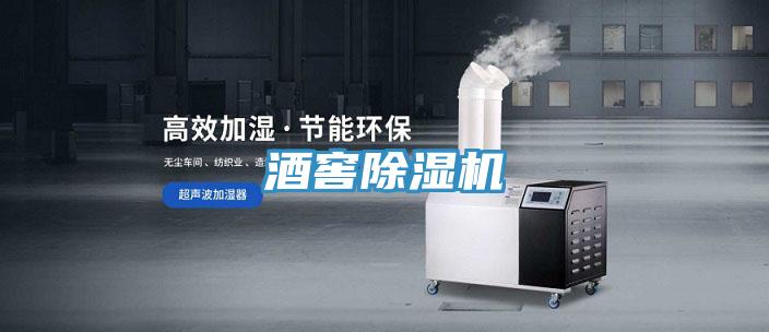 酒窖蘑菇视频网站