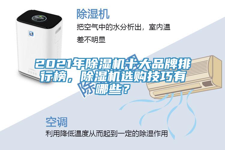 2021年蘑菇视频网站十大品牌排行榜，蘑菇视频网站選購技巧有哪些？