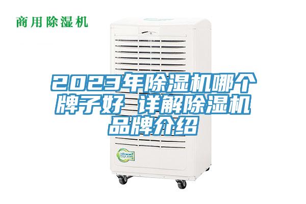 2023年蘑菇视频网站哪個牌子好 詳解蘑菇视频网站品牌介紹