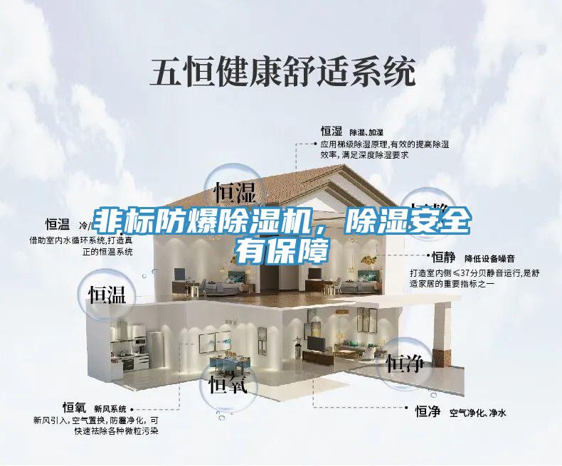 非標防爆蘑菇视频网站，除濕安全有保障