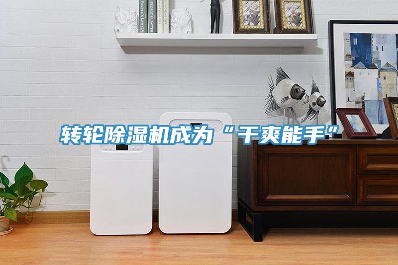 轉輪蘑菇视频网站成為“幹爽能手”