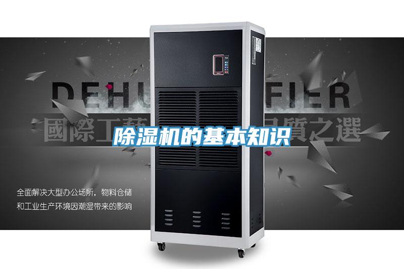 蘑菇视频网站的基本知識