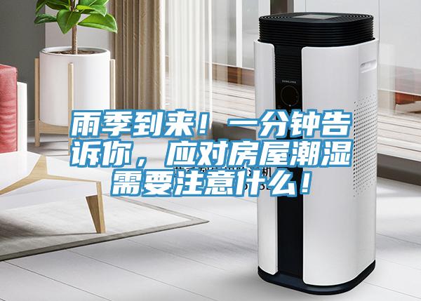 雨季到來！一分鍾告訴你，應對房屋潮濕需要注意什麽！