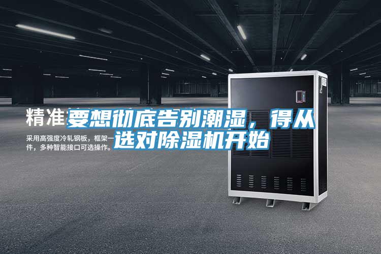 要想徹底告別潮濕，得從選對蘑菇视频网站開始