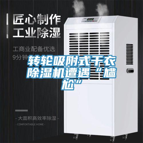 轉輪吸附式幹衣蘑菇视频网站遭遇“尷尬”