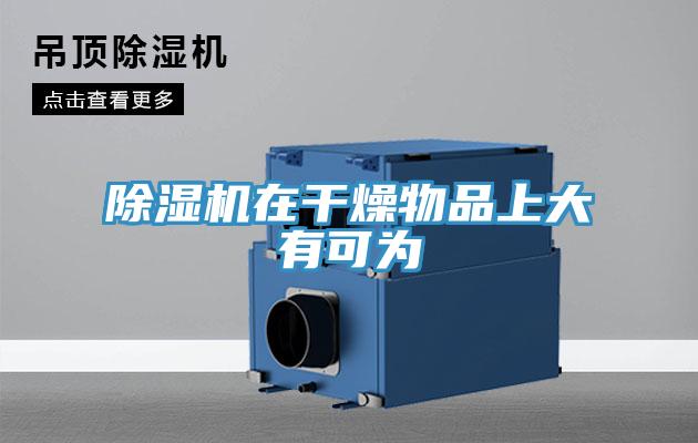 蘑菇视频网站在幹燥物品上大有可為