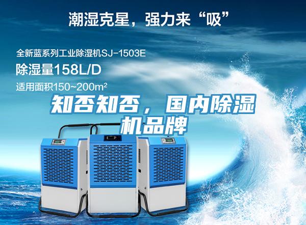 知否知否，國內蘑菇视频网站品牌