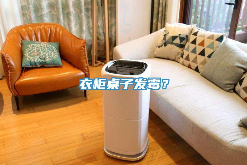 衣櫃桌子發黴？