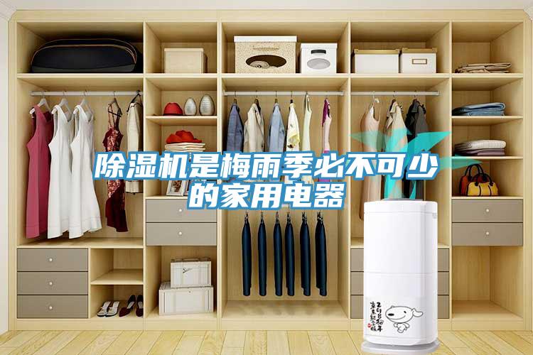 蘑菇视频网站是梅雨季必不可少的家用電器