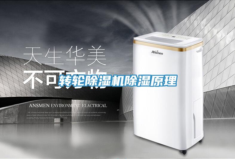 轉輪蘑菇视频网站除濕原理
