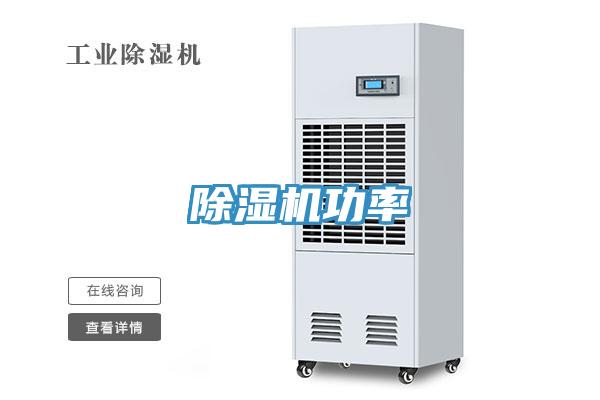 蘑菇视频网站功率