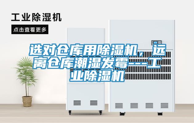 選對倉庫用蘑菇视频网站，遠離倉庫潮濕發黴---工業蘑菇视频网站