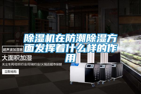 蘑菇视频网站在防潮除濕方麵發揮著什麽樣的作用