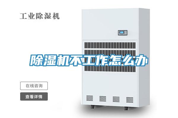 蘑菇视频网站不工作怎麽辦