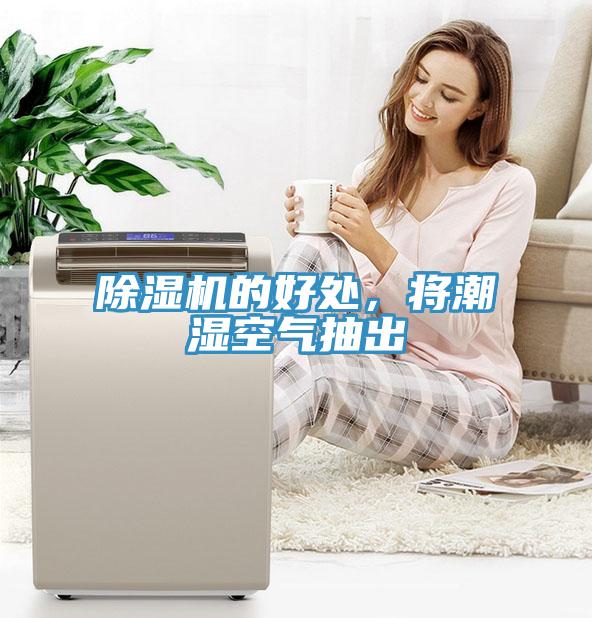 蘑菇视频网站的好處，將潮濕空氣抽出