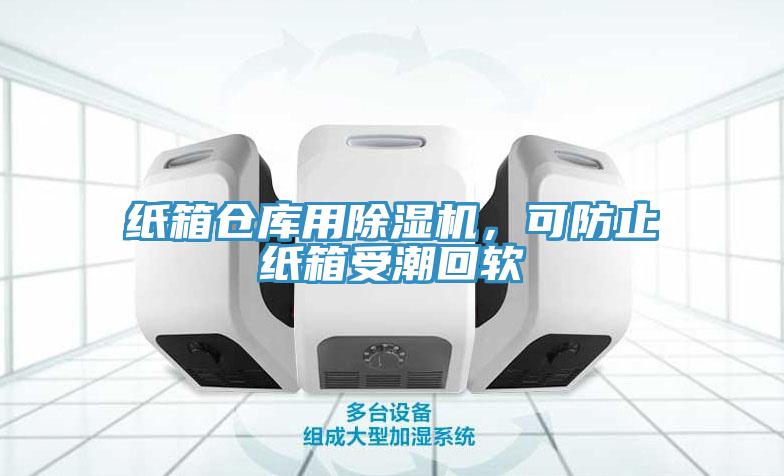 紙箱倉庫用蘑菇视频网站，可防止紙箱受潮回軟