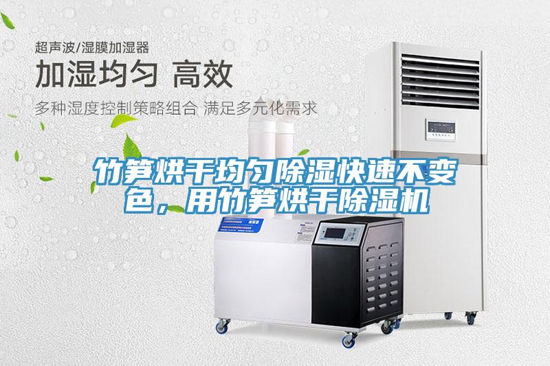 竹筍烘幹均勻除濕快速不變色，用竹筍烘幹蘑菇视频网站