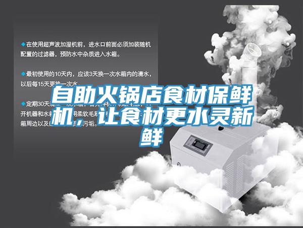 自助火鍋店食材保鮮機，讓食材更水靈新鮮