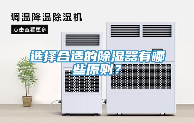 選擇合適的除濕器有哪些原則？