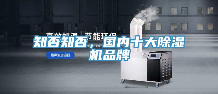 知否知否，國內十大蘑菇视频网站品牌
