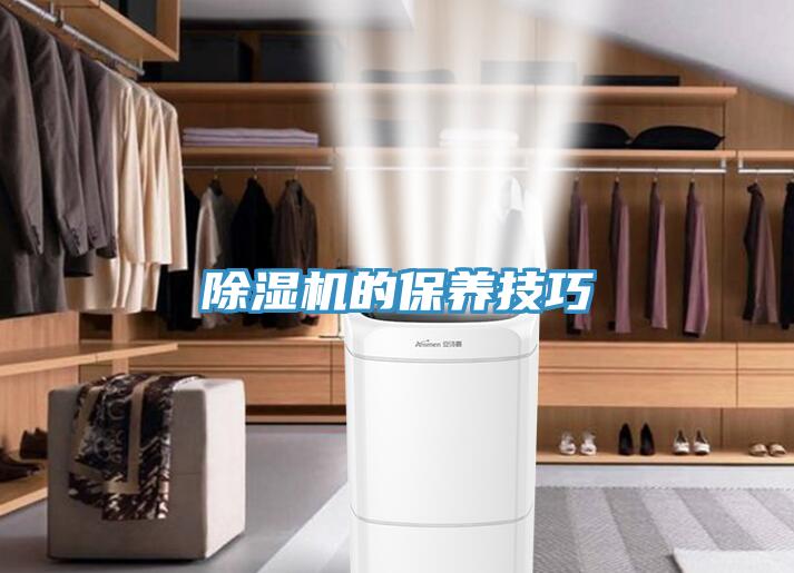 蘑菇视频网站的保養技巧