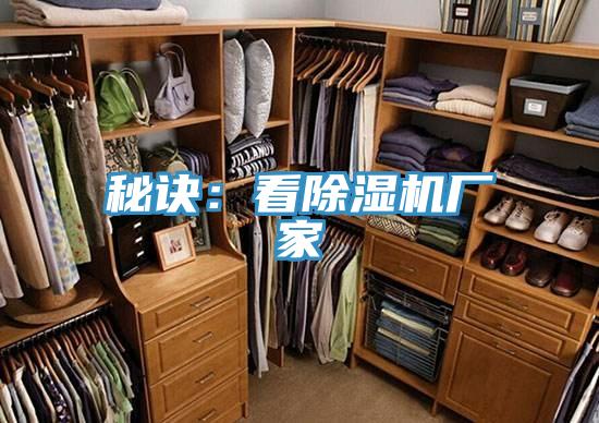 秘訣：看蘑菇视频网站廠家