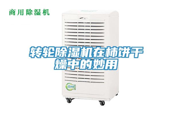 轉輪蘑菇视频网站在柿餅幹燥中的妙用