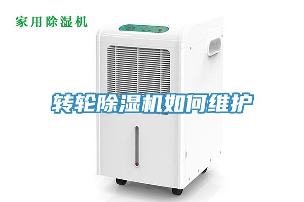 轉輪蘑菇视频网站如何維護