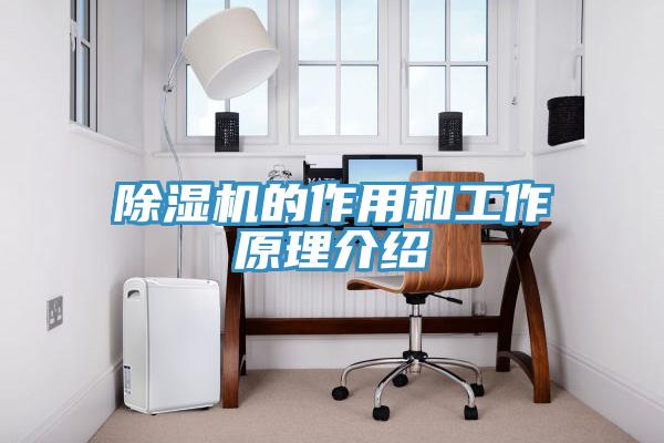 蘑菇视频网站的作用和工作原理介紹