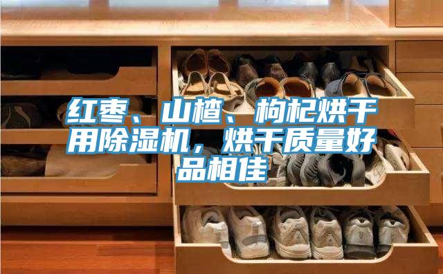 紅棗、山楂、枸杞烘幹用蘑菇视频网站，烘幹質量好品相佳