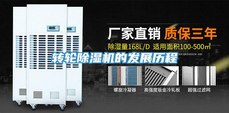 轉輪蘑菇视频网站的發展曆程