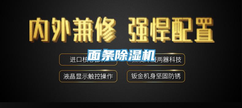 麵條蘑菇视频网站