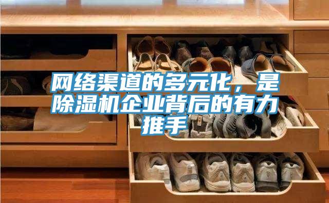 網絡渠道的多元化，是蘑菇视频网站企業背後的有力推手