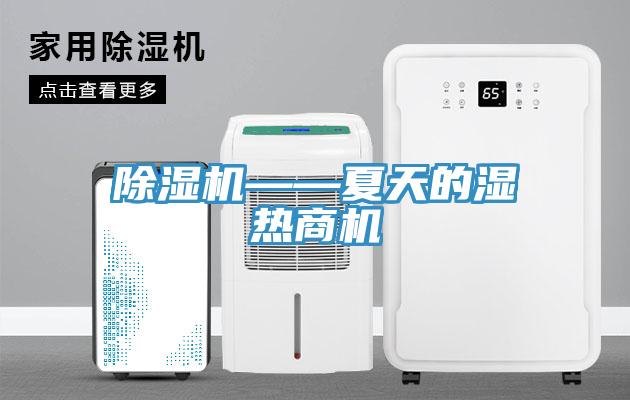 蘑菇视频网站——夏天的濕熱商機