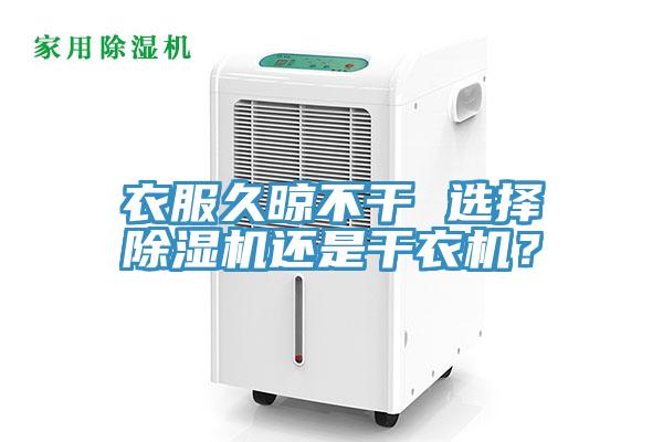 衣服久晾不幹 選擇蘑菇视频网站還是幹衣機？