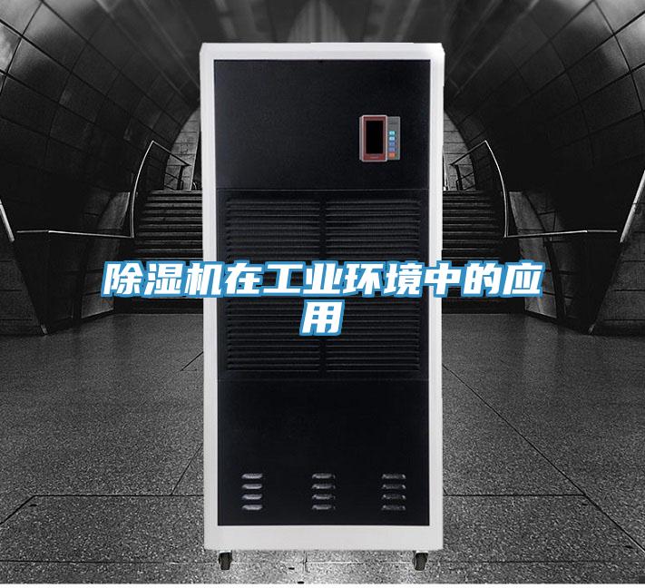 蘑菇视频网站在工業環境中的應用