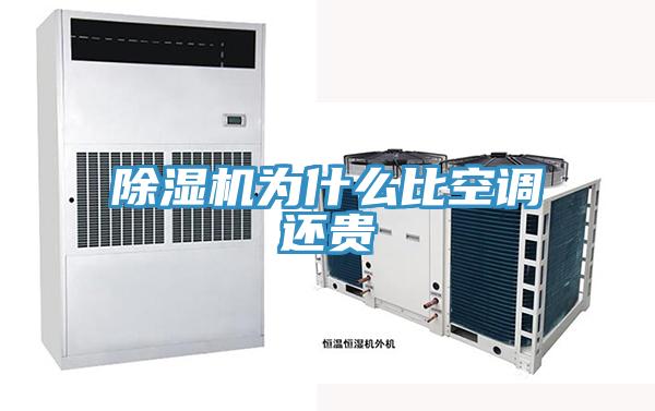 蘑菇视频网站為什麽比空調還貴