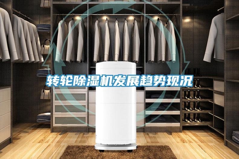 轉輪蘑菇视频网站發展趨勢現況