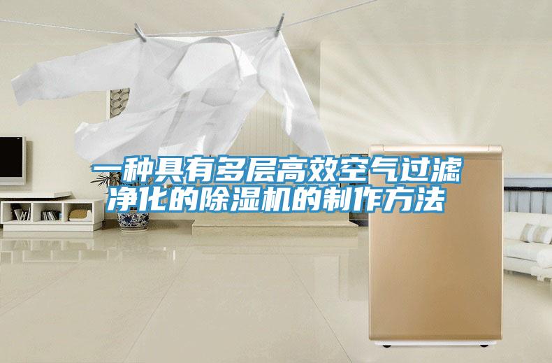 一種具有多層高效空氣過濾淨化的蘑菇视频网站的製作方法