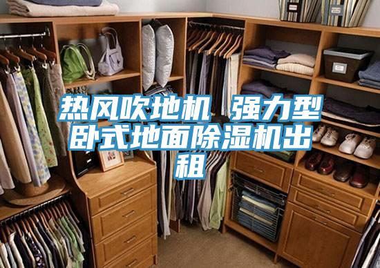 熱風吹地機 強力型臥式地麵蘑菇视频网站出租