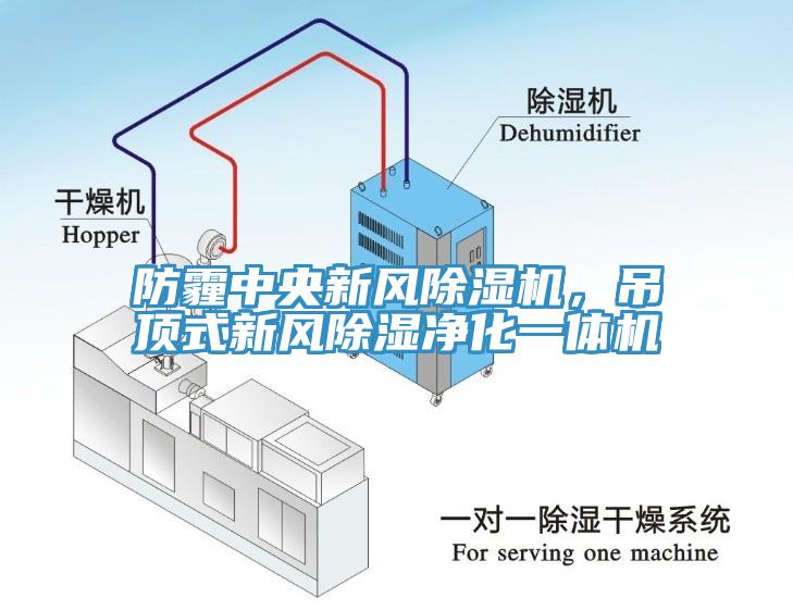 防霾中央新風蘑菇视频网站，吊頂式新風除濕淨化一體機