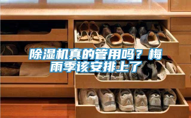 蘑菇视频网站真的管用嗎？梅雨季該安排上了