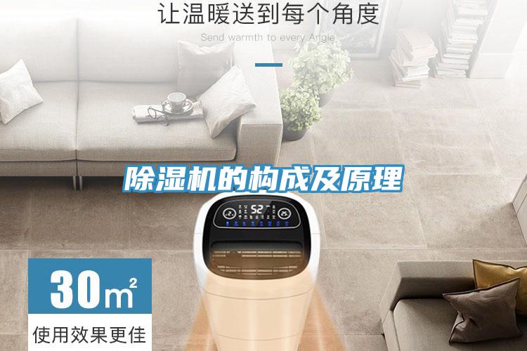 蘑菇视频网站的構成及原理