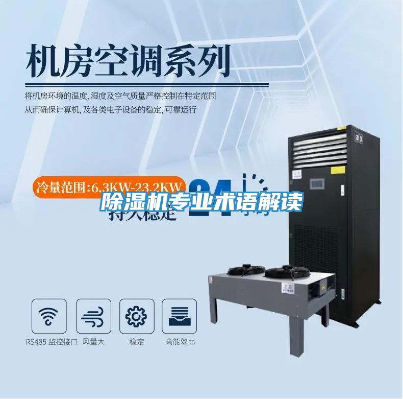 蘑菇视频网站專業術語解讀
