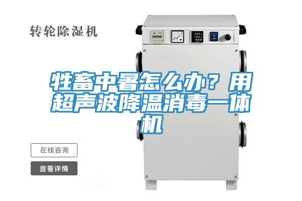 牲畜中暑怎麽辦？用超聲波降溫消毒一體機